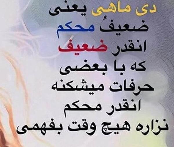 عکس دی ماهی یعنی