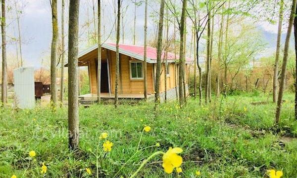 عکس کلبه چوبی جنگلی