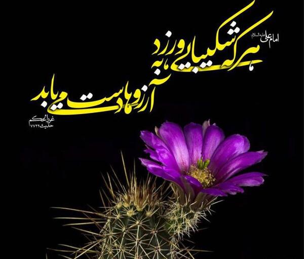 عکس نوشته حدیث در مورد صبر