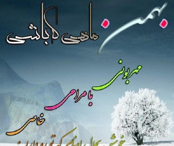 عکس برای بهمن ماهی ها