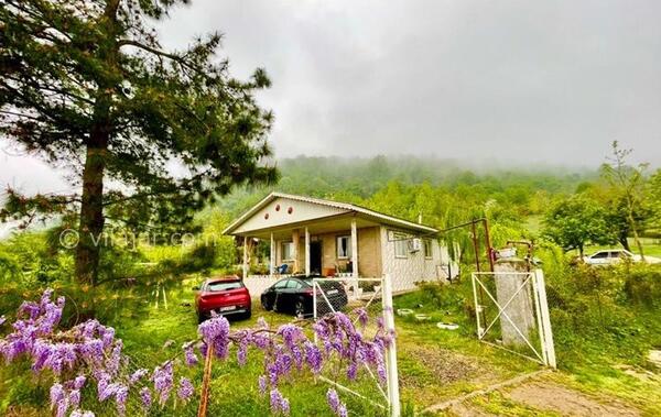 عکس کلبه خودمونی