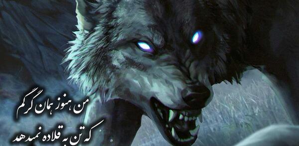 عکس نوشته چادر من