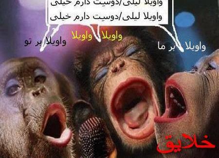 عکس سگ بامزه خوشگل