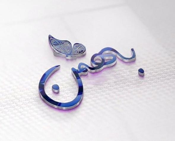 عکس نوشته بهمن ماهی یعنی