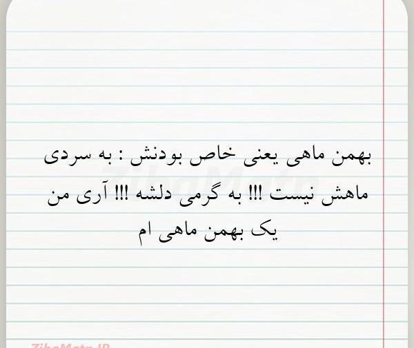 عکس نوشته بهمن ماهی یعنی