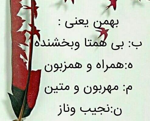 عکس نوشته بهمن ماهی یعنی