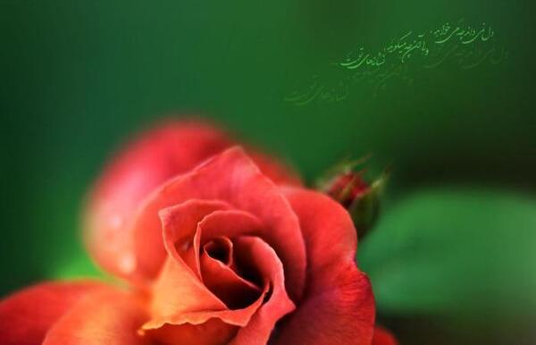 عکس نوشته الله جل جلاله