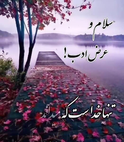 عکس نوشته سلام و عرض ادب