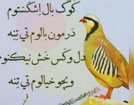عکس نوشته لری قشنگ