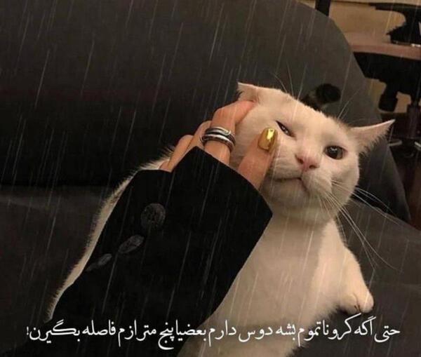 عکس نوشته کرونا تموم شه