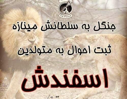 عکس تولد اسفند ماهی پسرم