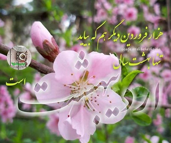 عکس پروفایل برای تولد اردیبهشت ماهی