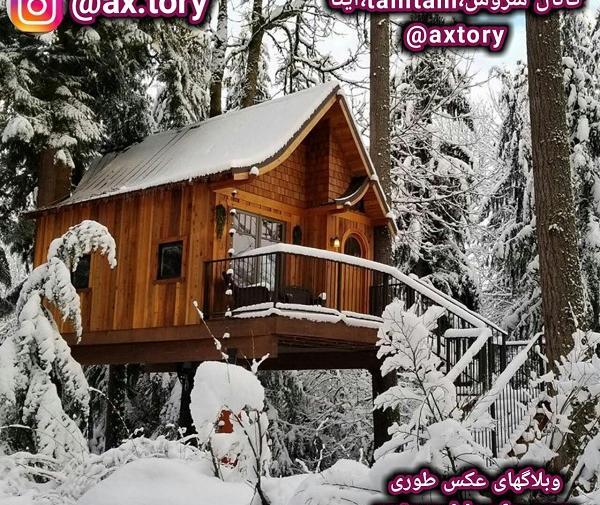 عکس کلبه چوبی فانتزی