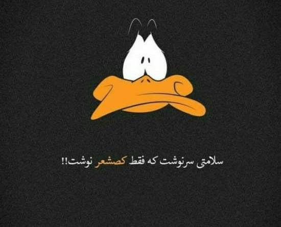 عکس نوشته به سلامتی کتاب سرنوشت