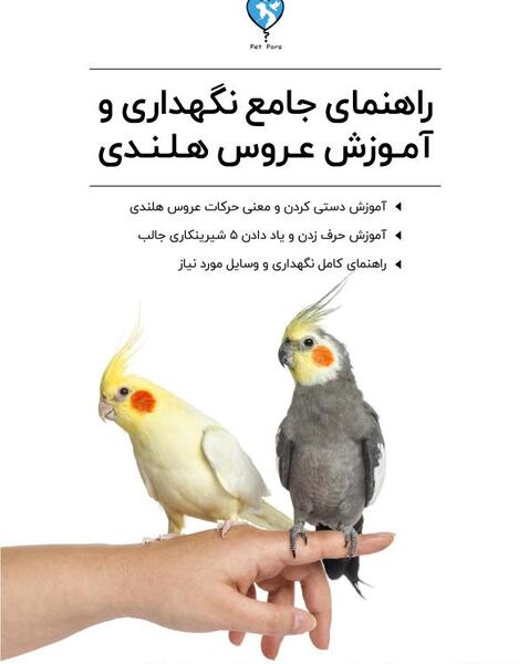 عکس های عروس هلندی ها