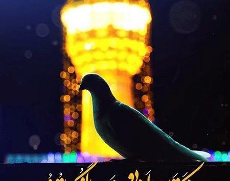عکس نوشته دلم گرفته اقا جان