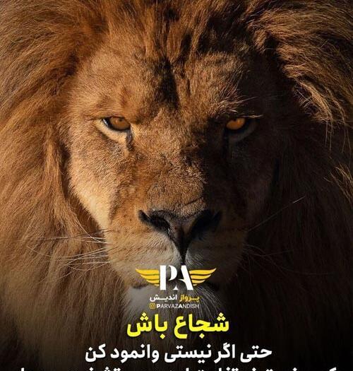 عکس نوشته تنهایی شیر