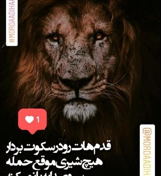 عکس نوشته تنهایی شیر