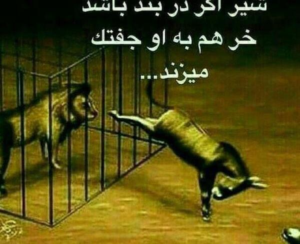 عکس نوشته تنهایی شیر