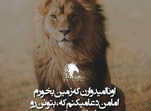 عکس نوشته تنهایی شیر