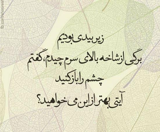 عکس نوشته شعر خفن