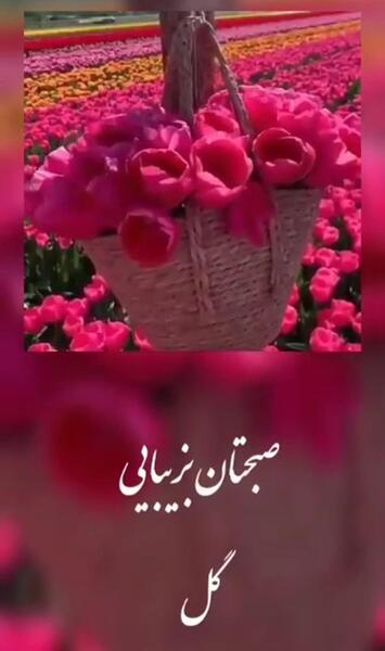 عکس نوشته سلام صبح زیباتون بخیر