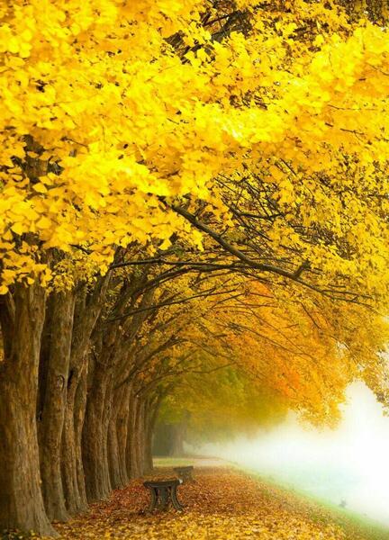 عکس نوشته سلام بهونه قشنگ من برای زندگی