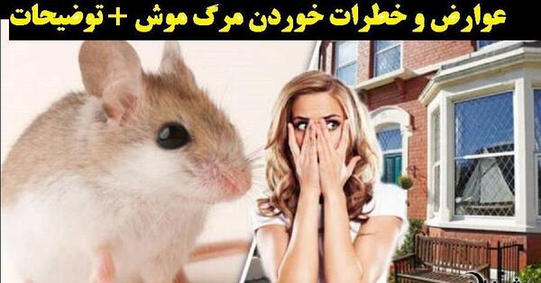 عکس قرص موش