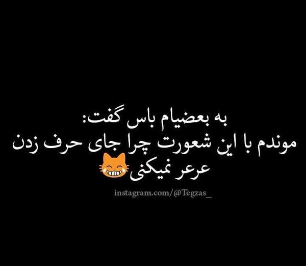 عکس نوشته غرور شاخ