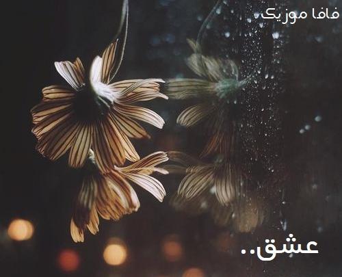 عکس نوشته آهنگ کاش رضا بهرام