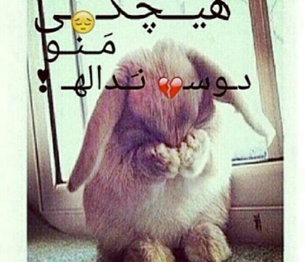 عکس نوشته چرا هیچکی دوسم نداره