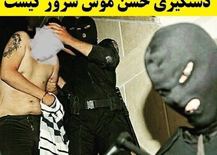 عکس حسن موش