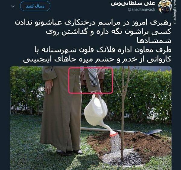 عکس رهبر روز درختکاری