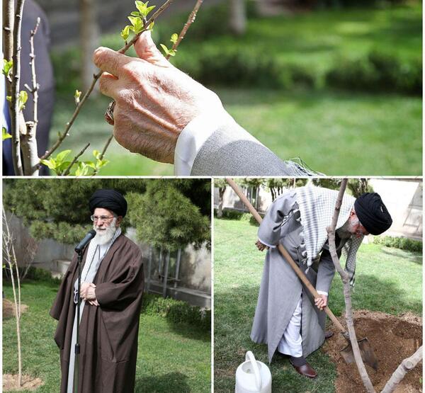 عکس رهبر روز درختکاری