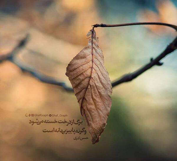 عکس پروفایل غمگین پاییزی