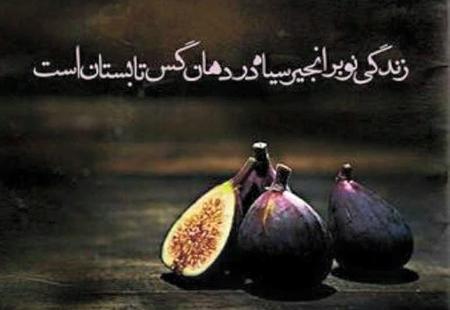عکس نوشته فلسفی و عرفانی