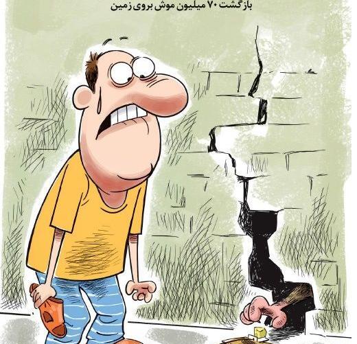 عکس موش آدم خوار