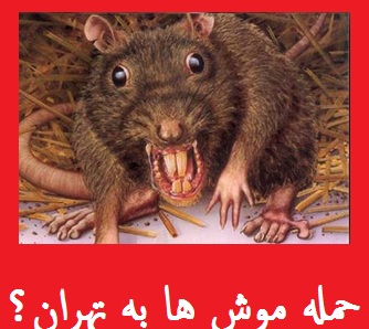عکس موش آدم خوار