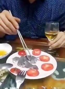 عکس موش آدم خوار