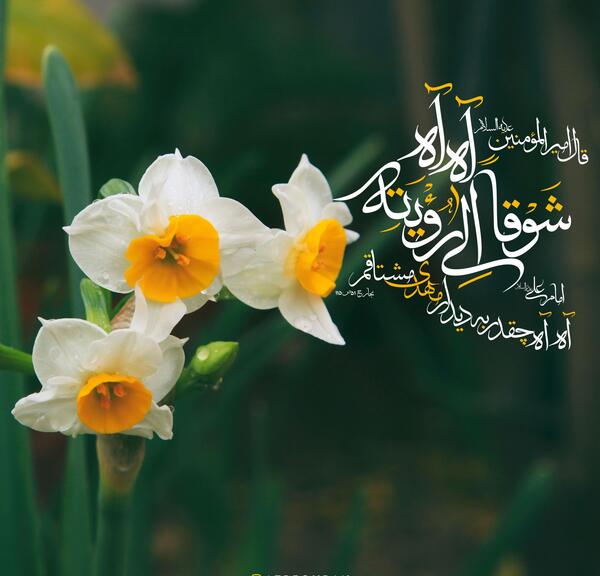 عکس نوشته امام زمان عج الله تعالی فرجه الشریف
