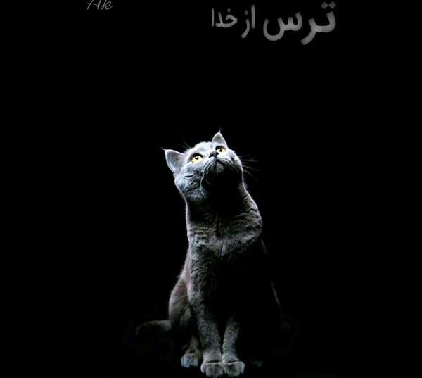 عکس نوشته با دعای گربه سیاه بارون نمیاد