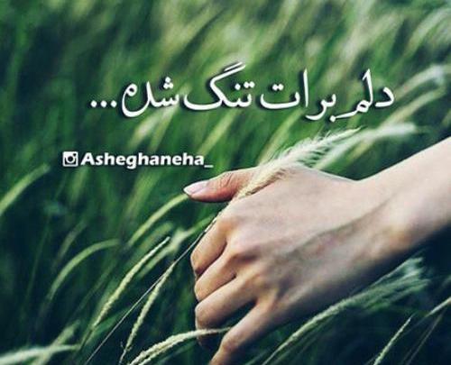عکس نوشته پسرم دلم برات تنگ شده