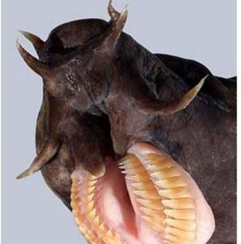 عکس جالب جهنمی