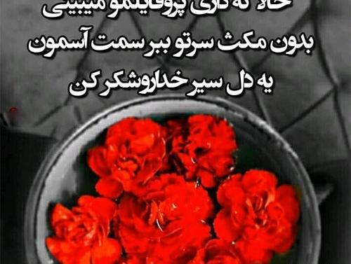 عکس نوشته گل در مورد خدا