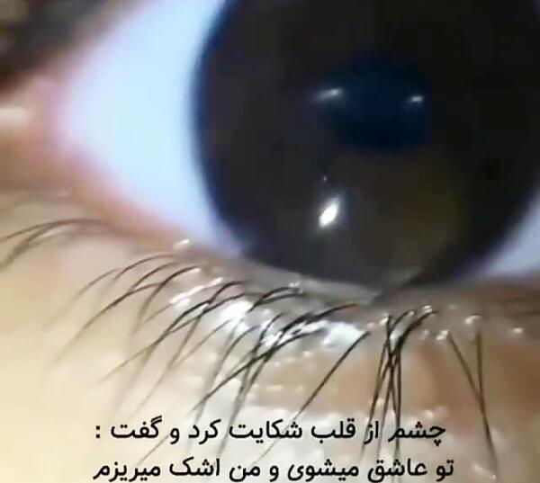 عکس نوشته چشم ازقلب شکایت کرد