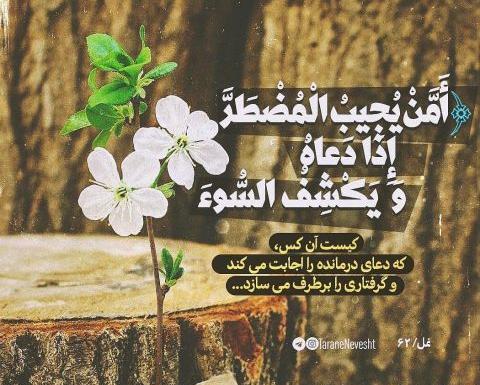 عکس متن امن یجیب مستر اذا دعا