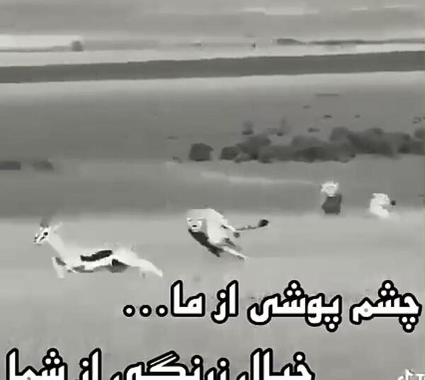 عکس نوشته چشم پوشی از ما