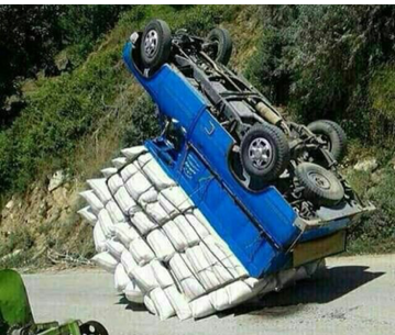 عکس موش آبی