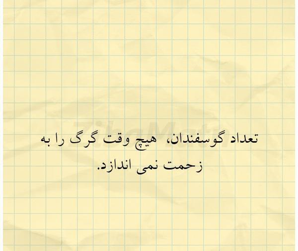 عکس نوشته هیچ وقت ظاهر زندگی دیگران را با باطن