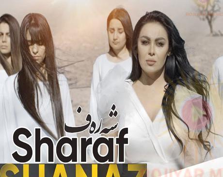 عکسهای جدید لوکا زهیر